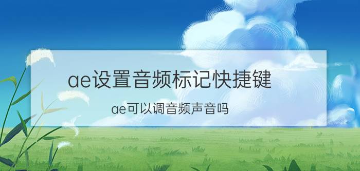 ae设置音频标记快捷键 ae可以调音频声音吗？